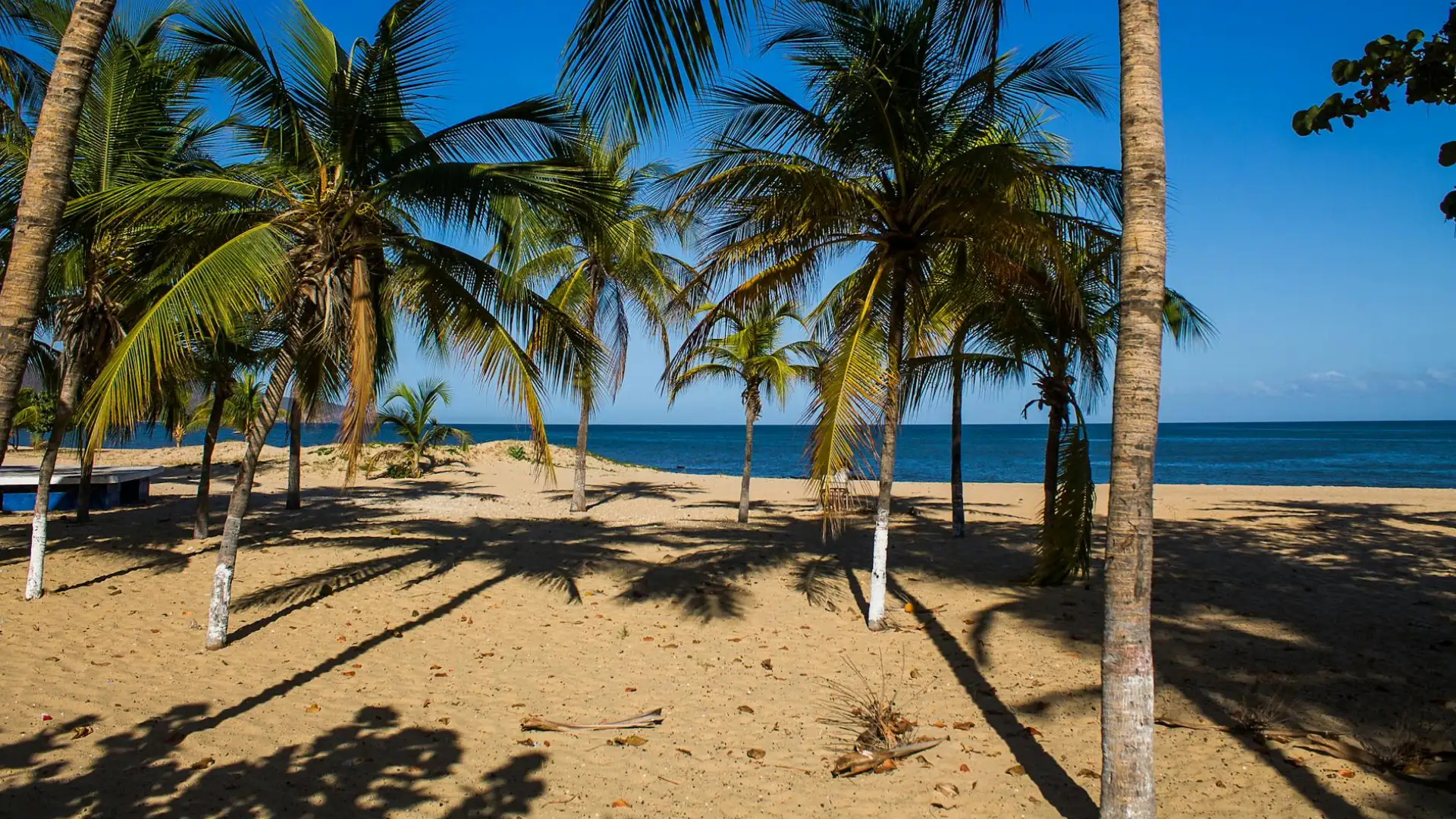 high end properties cap cana real estate